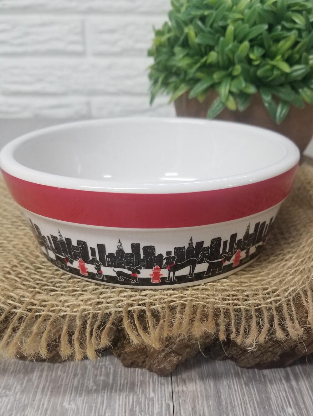 Stoneware Pet Bowl